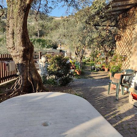 Apartament Casa Elvira Seglia San Bernardo Zewnętrze zdjęcie